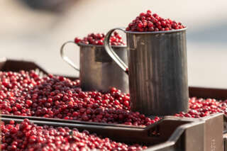 Puolukoita myynnissä